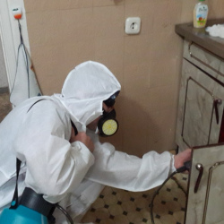 Дезинфекция от муравьев в квартире Улица Скобелевская метро Москвы