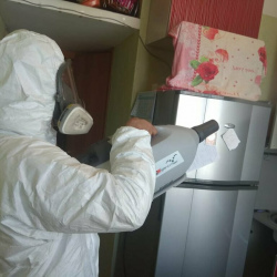 Уничтожение насекомых в квартире. Улица Скобелевская